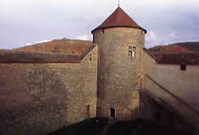 ../image/image_01/01_Allymes_5.jpg