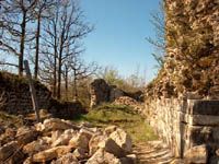 ../image/image_01/01_Chateauneuf_4.jpg