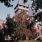 ../image/image_01/01_Chazey_1.jpg