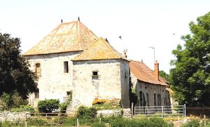 ..\image\image_03\03_Douzon_7.jpg