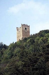 ../image/image_05/05_Bruis_2.jpg