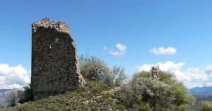 ../image/image_05/05_Chateauneuf_Chabre_2.jpg