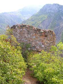 ../image/image_06/06_Daluis_5.jpg