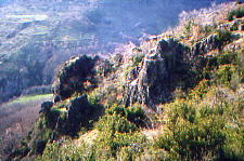../image/image_07/07_Balme_Montbrun_1.jpg