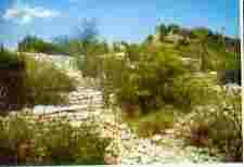 ../image/image_07/07_Cornilhon_Assions_3.jpg
