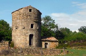 ../image/image_07/07_Vesseaux_2.jpg