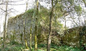 ../image/image_09/09_Bonnac_Castellas_1.jpg