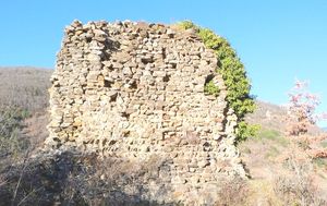 ../image/image_11/11_Joucou_Castelpor_3.jpg