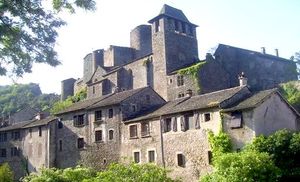 ../image/image_12/12_Brousse_1.jpg