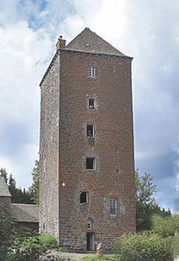 ../image/image_12/12_Domeries_Aubrac_3.jpg