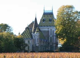 ../image/image_21/21_Aloxe_Corton_1.jpg