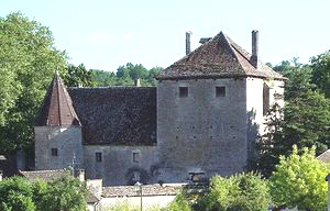 ../image/image_21/21_Gamay_1.jpg