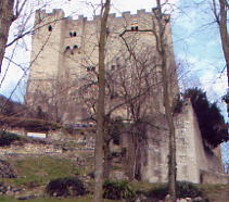 ../image/image_26/26_Crest_3.jpg