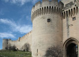 ../image/image_30/30_Fort_St_Andre_5.jpg
