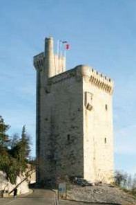 ../image/image_30/30_Fort_St_Andre_7.jpg