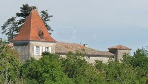 ..\image\image_31\31_Falga_5.jpg