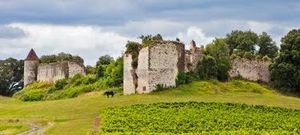 ../image/image_32/32_Bezolles_7.jpg