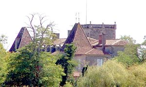 ../image/image_33/33_Carpia_3.jpg