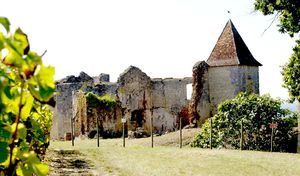 ..\image\image_33\33_Cros_Ricaud_8.jpg