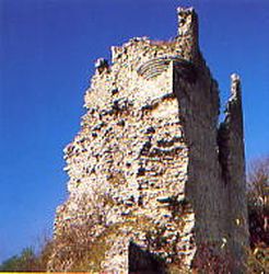 ../image/image_39/39_Binans_Beauregard_2.jpg