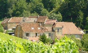 ../image/image_39/39_Champagne_Bancenel_4.jpg