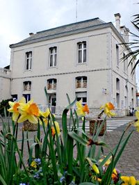 ../image/image_40/40_Capbreton_1.jpg