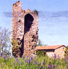 ../image/image_42/42_Cordelle_2.jpg