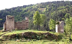 ../image/image_43/43_Carry_1.jpg