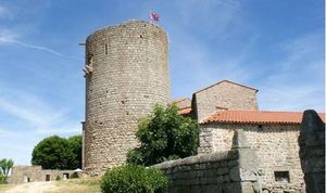 ../image/image_43/43_Esplantas_6.jpg