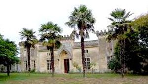 ../image/image_47/47_Arago_4.jpg