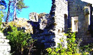 ../image/image_48/48_Albaret_Garde_6.jpg