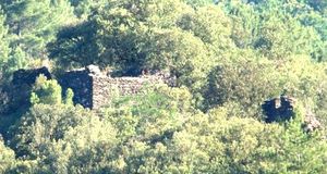 ../image/image_48/48_Calberte_7.jpg