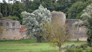 ../image/image_58/58_Bulcy_2.jpg