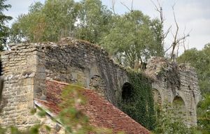 ../image/image_58/58_Bulcy_3.jpg