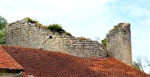 ../image/image_58/58_Bulcy_5.jpg