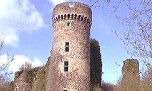 ../image/image_63/63_Faye_2.jpg