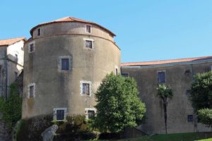 ../image/image_64/64_Bayonne_Chat_neuf_4.jpg