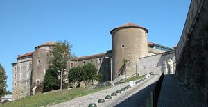 ../image/image_64/64_Bayonne_Chat_neuf_5.jpg