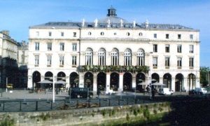../image/image_64/64_Bayonne_Chat_neuf_8.jpg