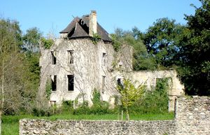 ../image/image_64/64_Bazerque_1.jpg