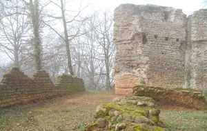 ../image/image_65/65_Hagedet_2.jpg