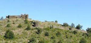 ../image/image_66/66_Belpuig_1.jpg