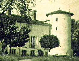 ..\image\image_69\69_Fougeres_Poule_1.jpg