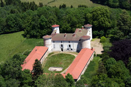 ..\image\image_69\69_Fougeres_Poule_2.jpg