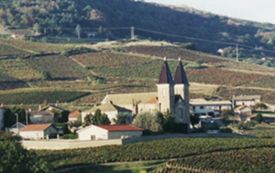 ..\image\image_69\69_Fougeres_Poule_4.jpg