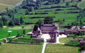 ../image/image_71/71_Chasselas_3.jpg