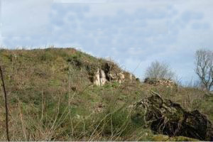 ..\image\image_71\71_Etang_sur_Arroux_2.jpg