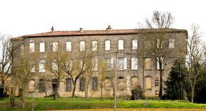 ../image/image_81/81_Aguts_2.jpg