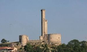 ../image/image_81/81_Castelnau_Levis_4.jpg
