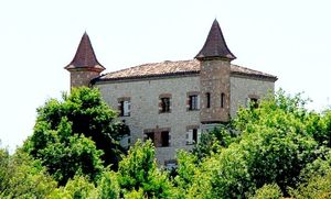 ../image/image_81/81_Cuq_Toulza_2.jpg